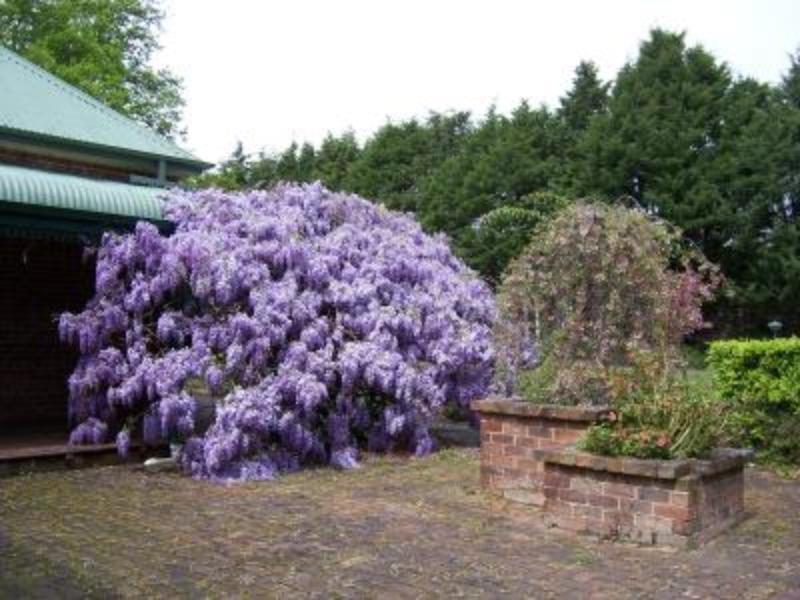 Heronswood House B & B Moss Vale Eksteriør bilde